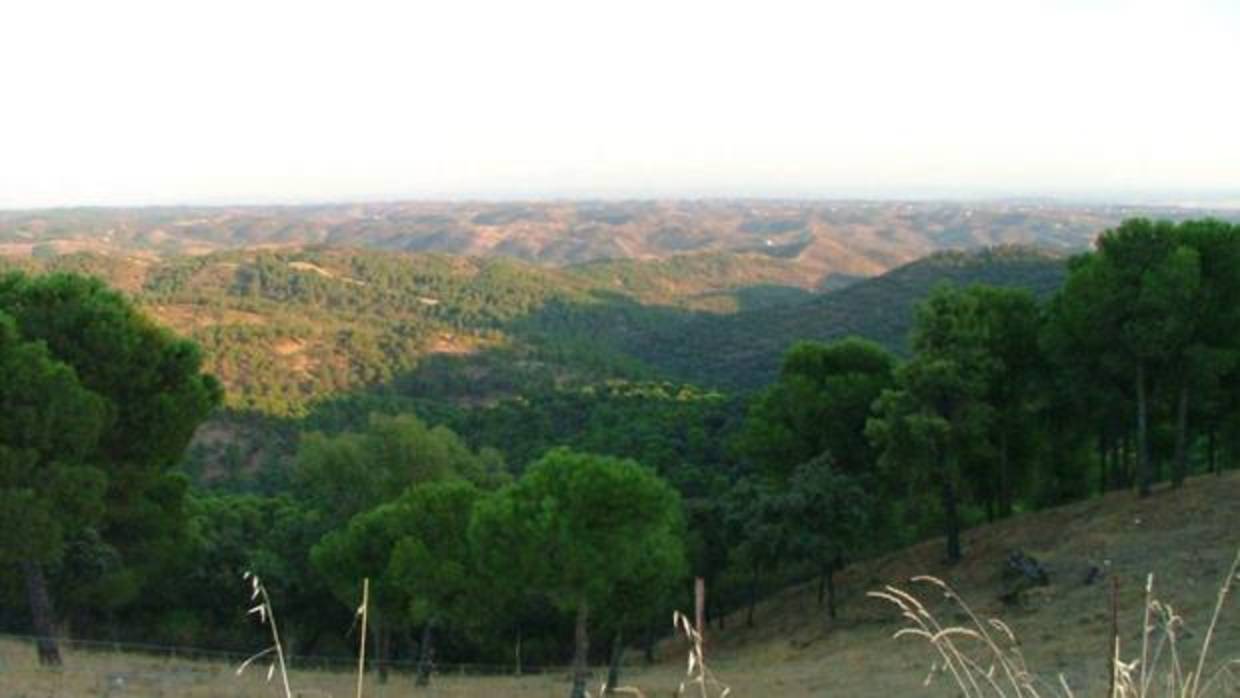 Panorámica del Parque de Cardeña