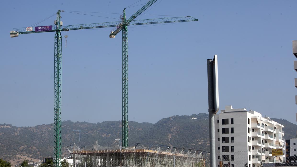 Pisos en construcción en la zona del Cortijo del Cura