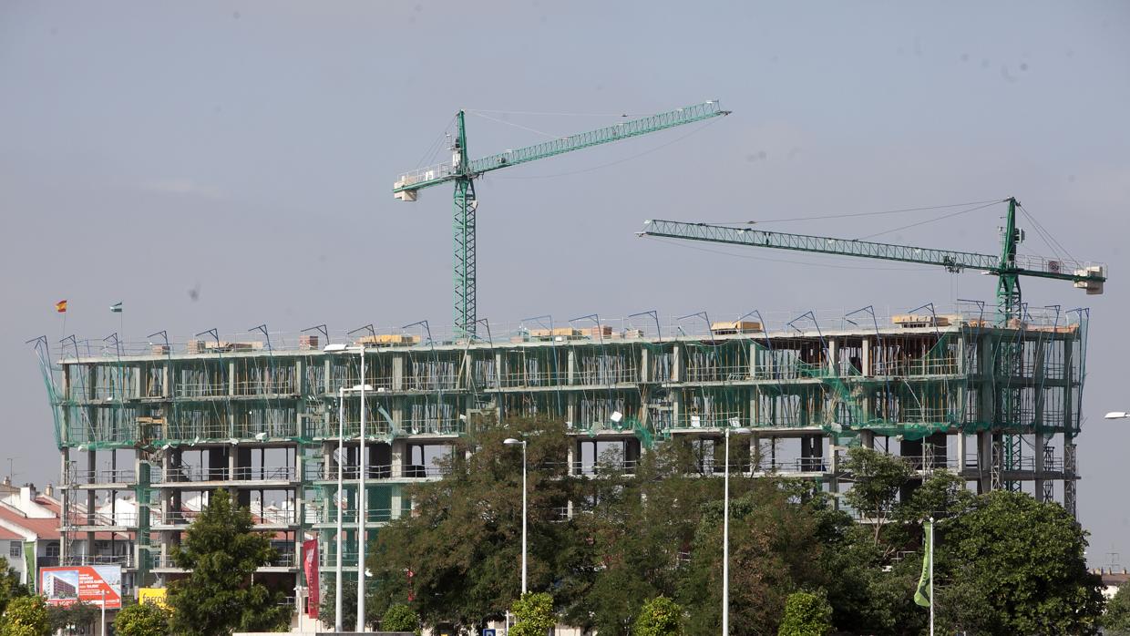 Pisos en construcción en la zona del Cortijo del Cura