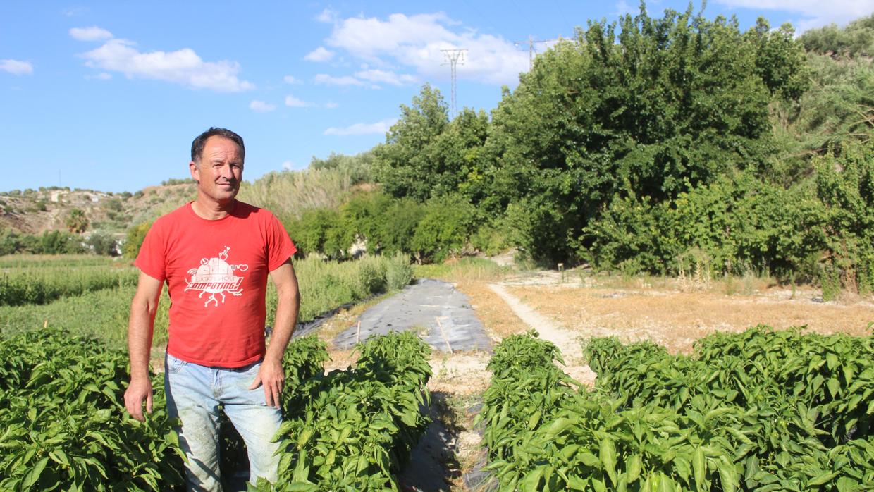 Antonio Gallardo en su huerta de Baena