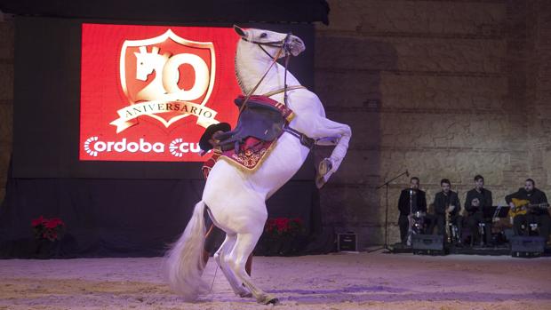 Izquierda Unida toma las riendas del mundo del caballo en Córdoba