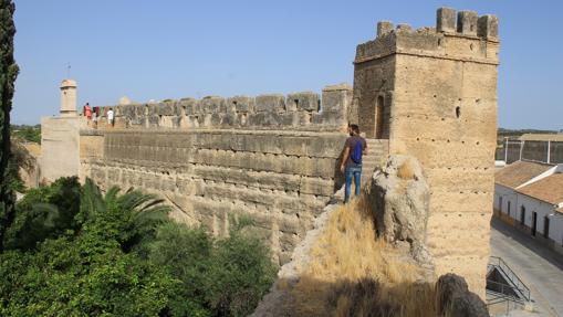 Restos de la muralla almohade de Palma del Río