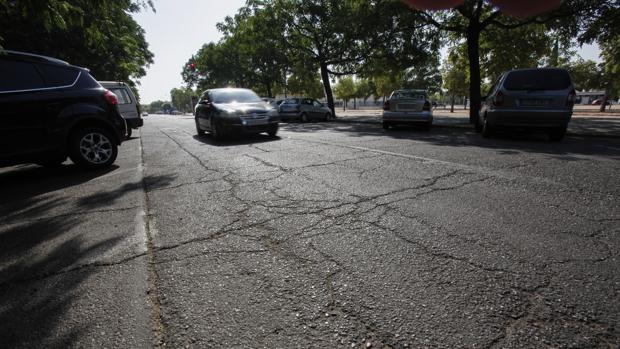 Una carretera de Córdoba necesitada de actuaciones en el asfalto