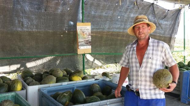 José Gil junto a los melones que cultiva en Córdoba