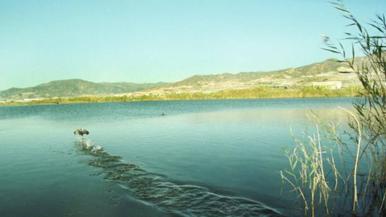 El suceso se ha producido en la Reserva Natural de la Albufera de Adra