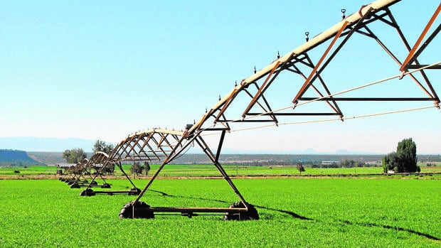 Una máquina de riego trabaja sobre una zona agrícola