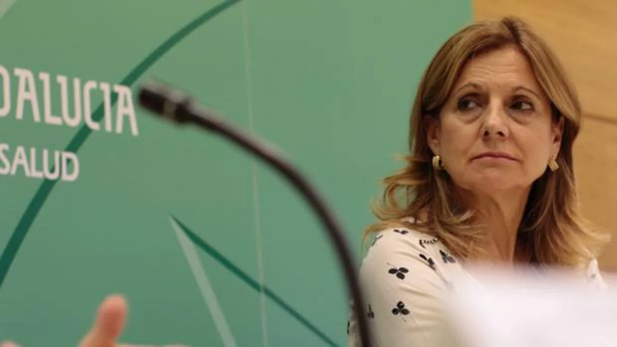 La consejera de Salud de la Junta de Andalucía, Marina Álvarez