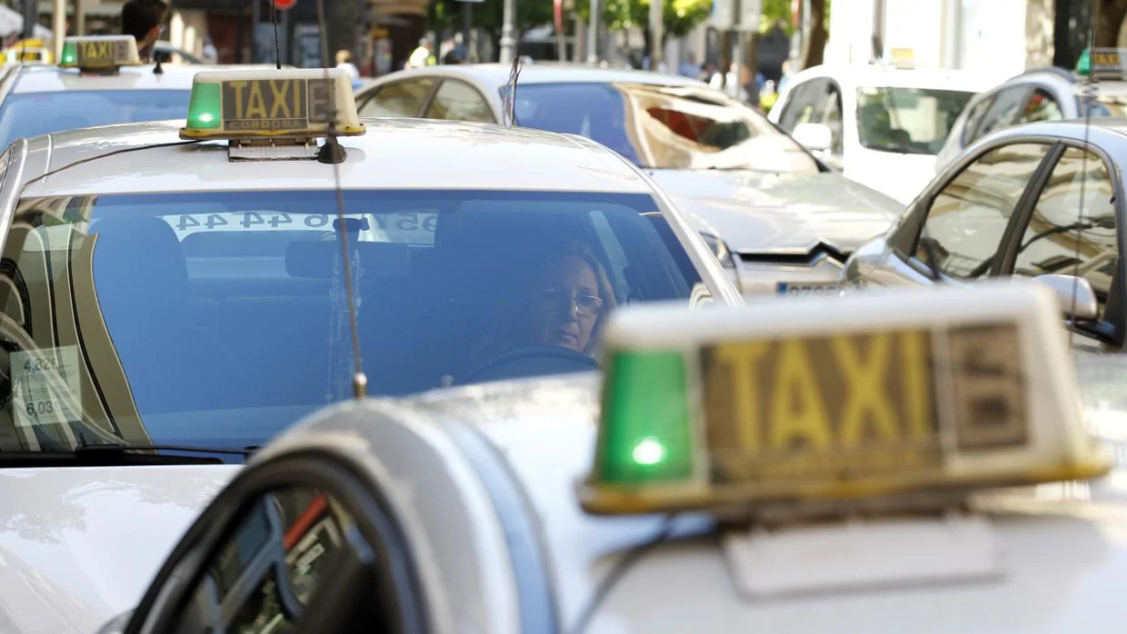 Detalle del luminoso de un taxi de Córdoba