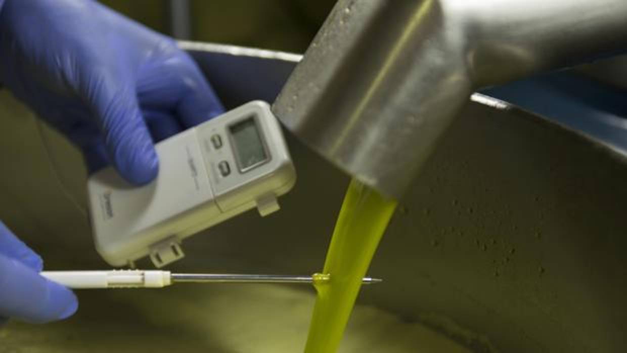 Un trabajador mide la temperatura del aceite durante el proceso de elaboración