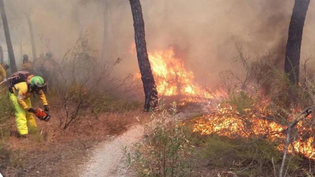 Se declara un incendio forestal en Huelva, que obliga a desalojar su albergue juvenil