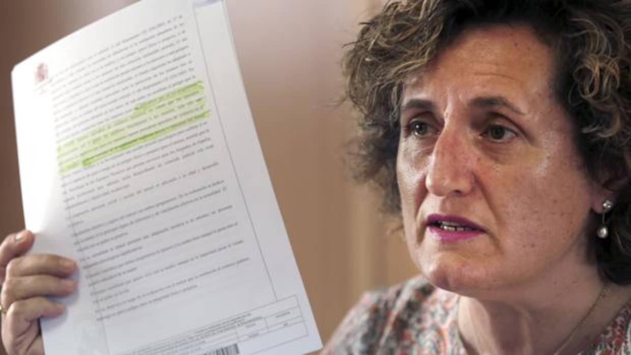 La asesora jurídica de Juana Rivas con la denuncia en una comparencia ante los medios