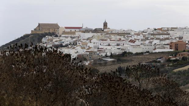 Un niño fallece en un accidente de bicicleta en Montilla