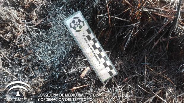 Extinguido el incendio que amenazó La Zagaleta, originado por una colilla