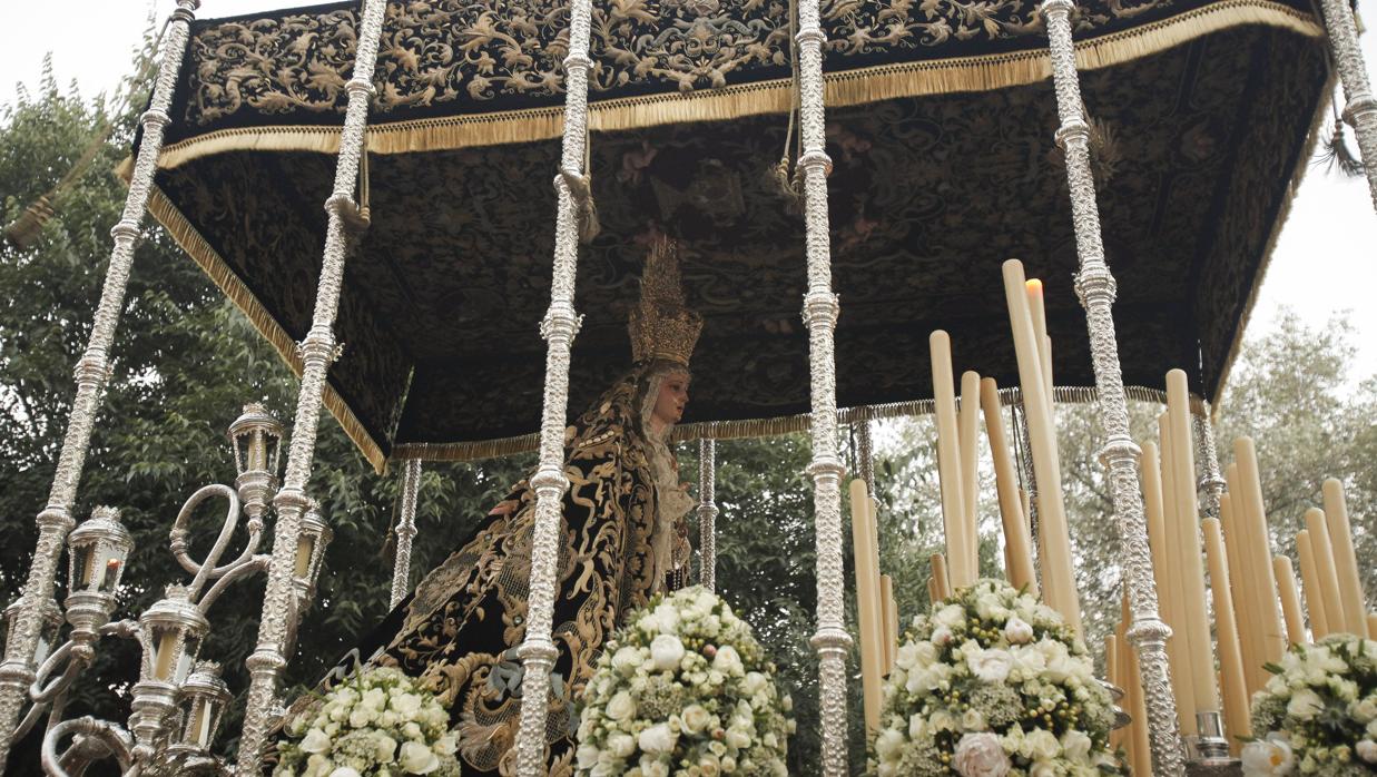 La Virgen del Rosario, en la magna mariana «Regina Mater»