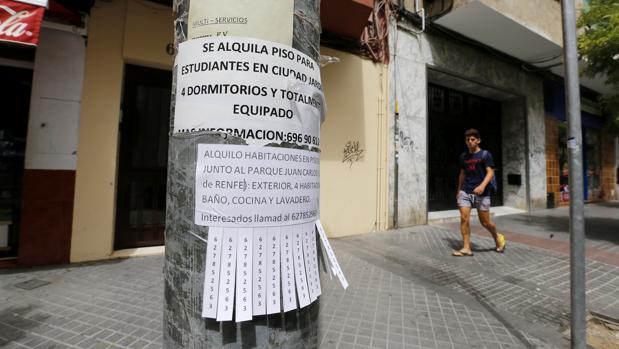 Los estudiantes, cada vez más exigentes a la hora de alquilar piso en Córdoba