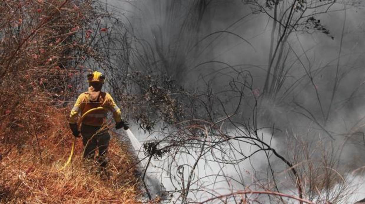 Bomberos forestales en Riotinto