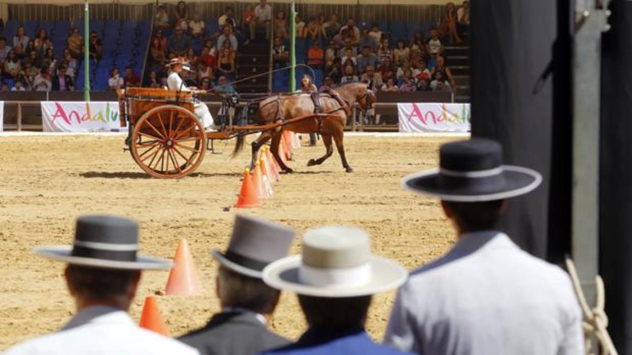 Concurso de Atalajes de Cabalcor celebrado el año pasado