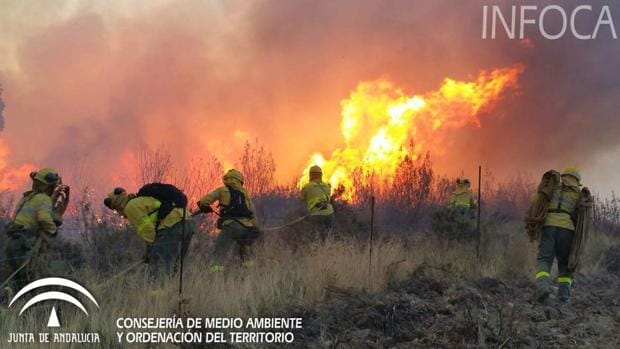 Efectivos del Infoca trabajando para combatir el fuego en La Granada de Riotinto (Huelva)