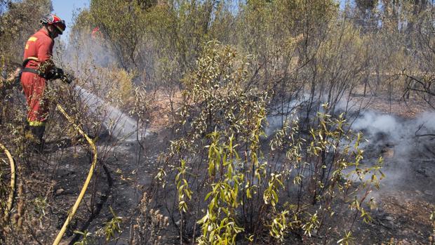 El Infoca da por controlado el incendio de La Granada de Riotinto