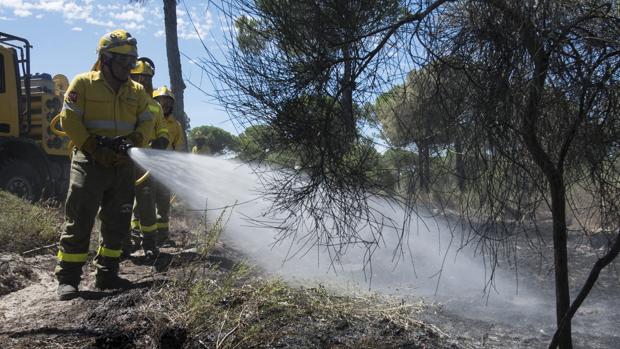 Cinco detenidos y 75 investigados por incendios forestales durante este año