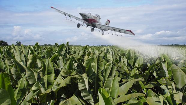 La prohibición del glifosato hará perder al campo 2.000 millones de euros al año