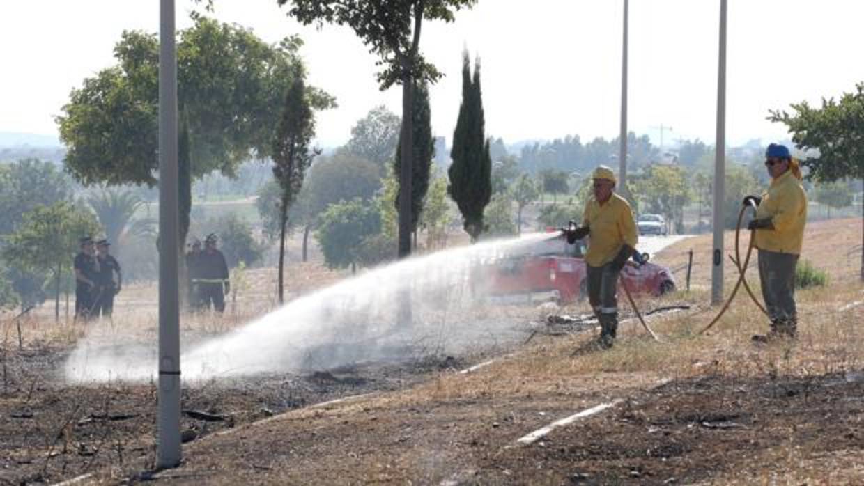 Personal del Infoca y de los bomberos del Ayuntamiento de Córdoba en Mirabueno