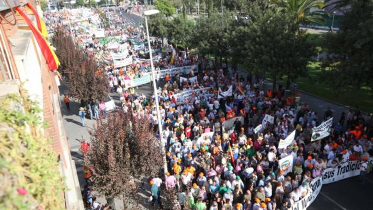 Marcha en defensa del mundo rural y sus tradiciones a su paso por la avenida de Cervantes