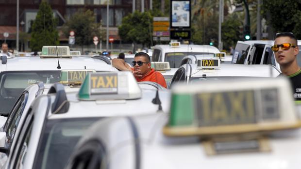 Taxis grandes en Córdoba: ¿oportunidad de negocio o servicio público?