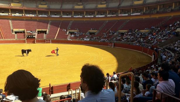 Una joven antitaurina salta al ruedo para protestar durante la Becerrada a la mujer cordobesa