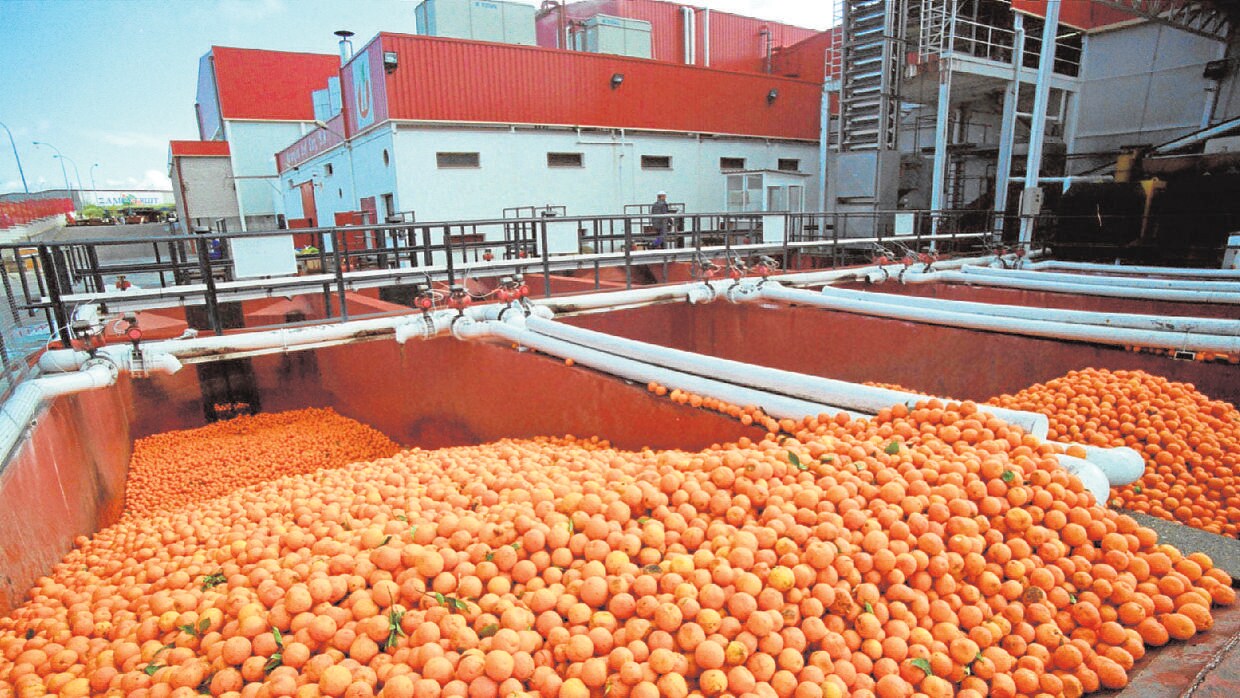 Planta de procesado de naranjas para zumo en Palma del Río
