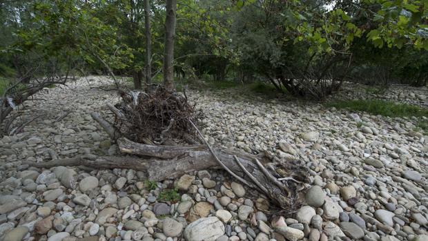 Un período muy largo sin lluvias enciende las alarmas de sequía en Andalucía