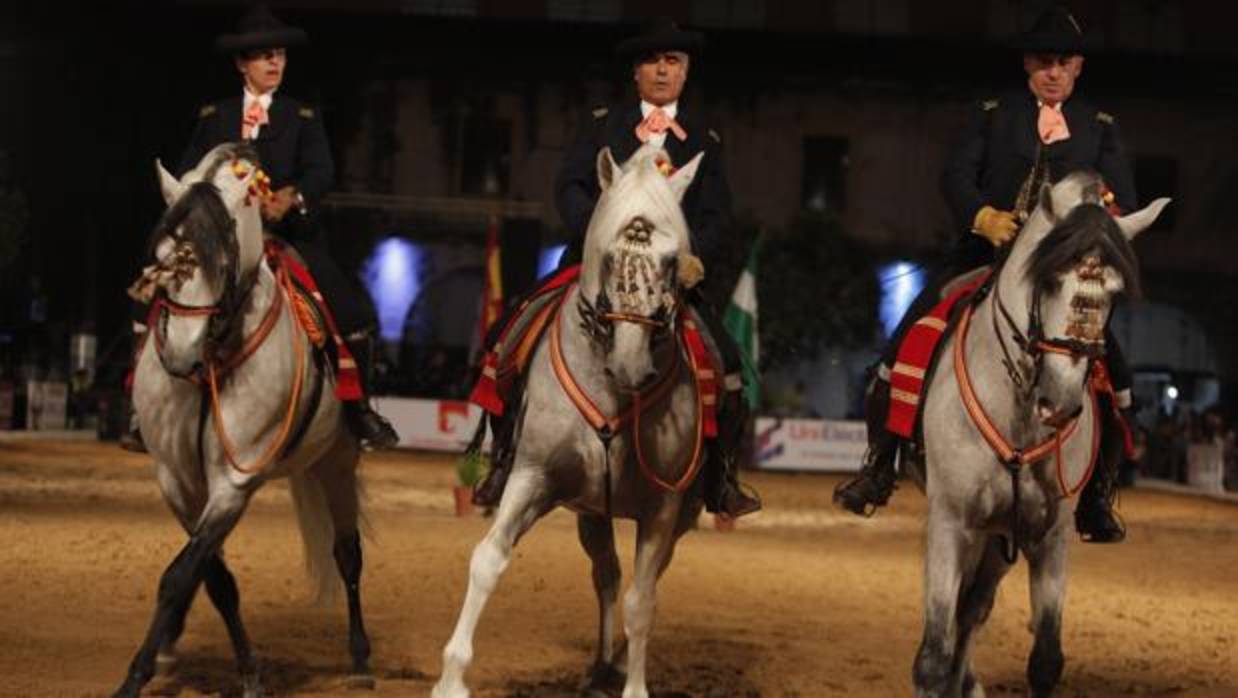 Caballos de Córdoba Ecuestre durante un espectáculo