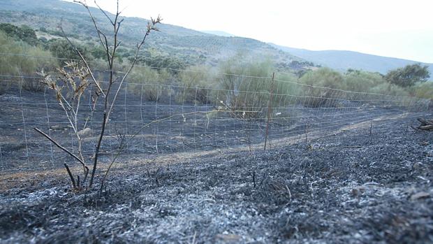 Condenado a cuatro meses de prisión y multa por provocar un incendio en La Sierrezuela