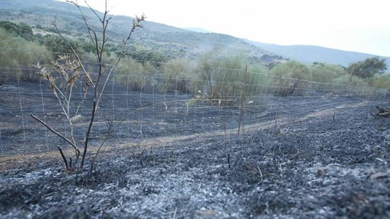 Imagen de archivo de un incendio