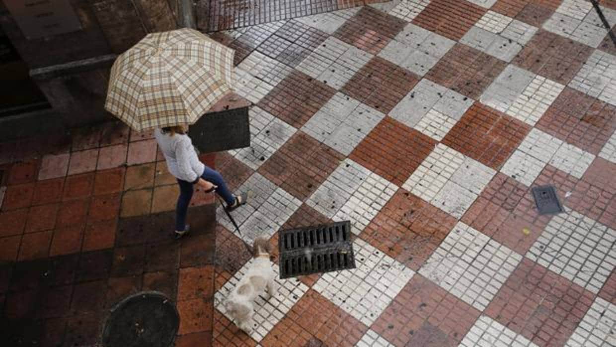 La falta de lluvias en Córdoba agrava la mala situación del campo