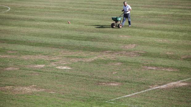 Un año de retraso del campo nuevo de la Ciudad Deportiva y el problema del césped crece