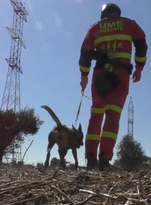 Uno de los perros de la UME