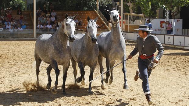 El calendario de las fiestas y de los eventos de Córdoba de 2018