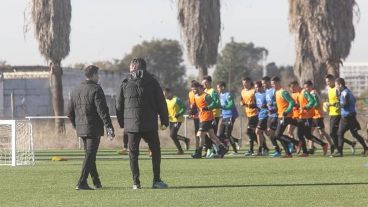 La plantilla del Córdoba CF, en el entrenamiento en césped artificial