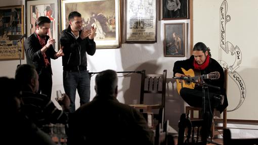 Actuación en la Peña Flamenca de Córdoba