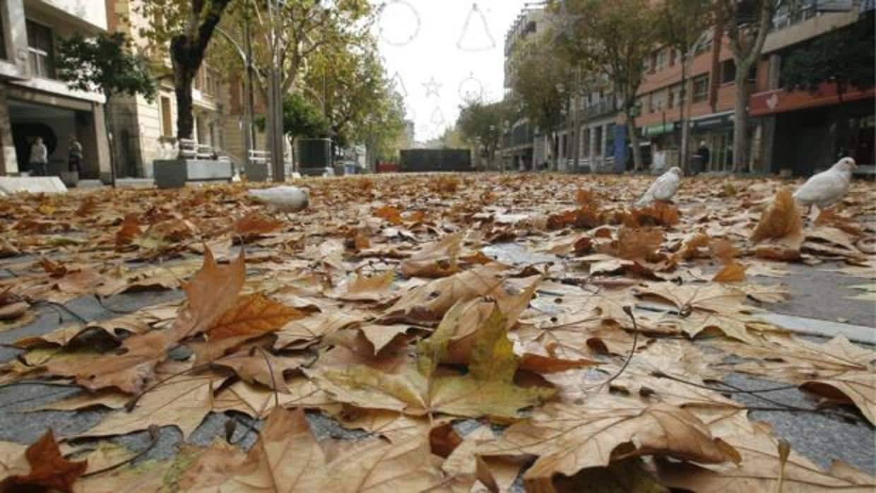 El Bulevar cubierto de hojas caídas en una foto de archivo