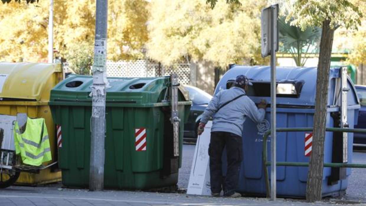 Un hombre mira en el interior de un contenedor de papel y cartón en Córdoba