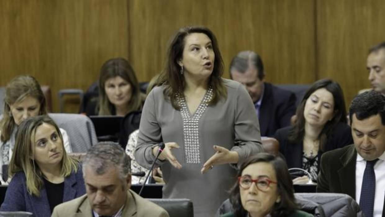 Carmen Crespo durante una intervención en el Parlamento andaluz