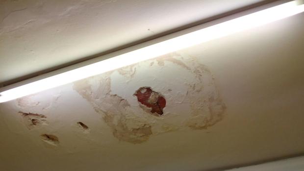 Goteras y ratones: El día a día del colegio El Carmen de Lucena