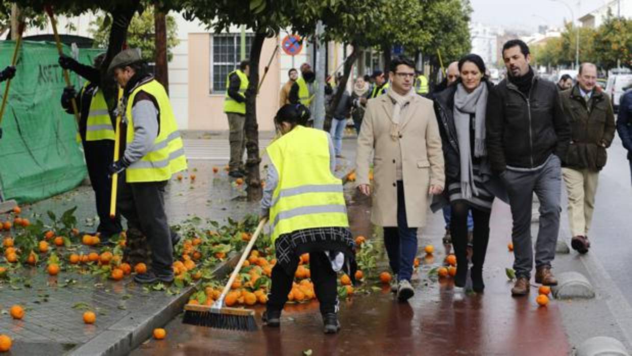 El presidente de Sadeco [con abrigo], Pedro García (IU), en la presentación de la recogida de la naranja