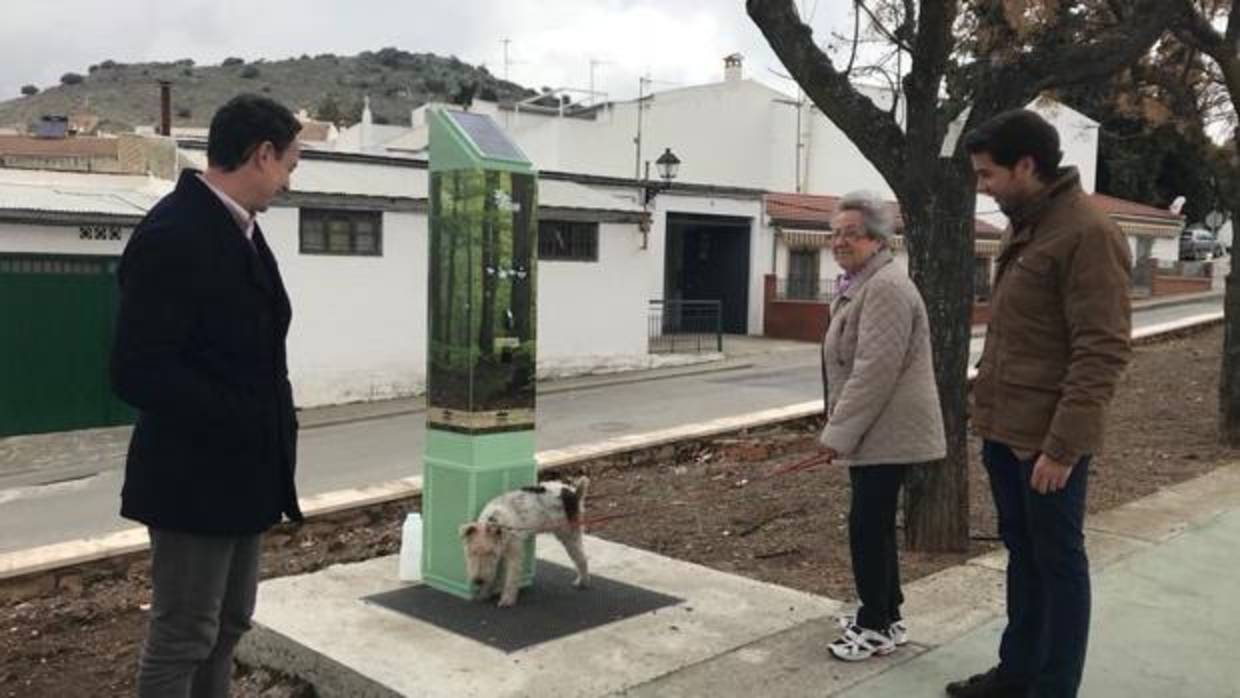 Un perro utiliza el espacio para miccionar antes de recibir su premio