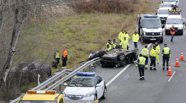 La Guardia Civil identifica al dueño de la oveja que provocó el accidente mortal en Córdoba