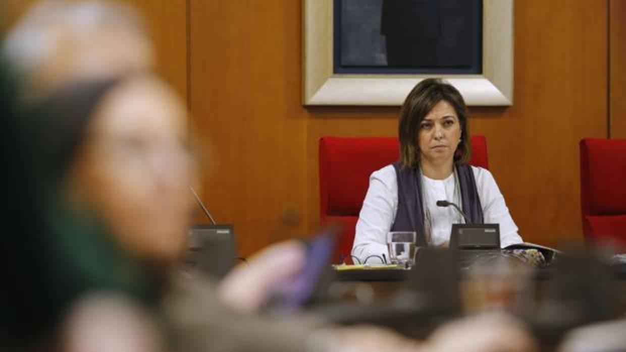 La alcaldesa, Isabel Ambrosio, preside un Pleno del Ayunamiento