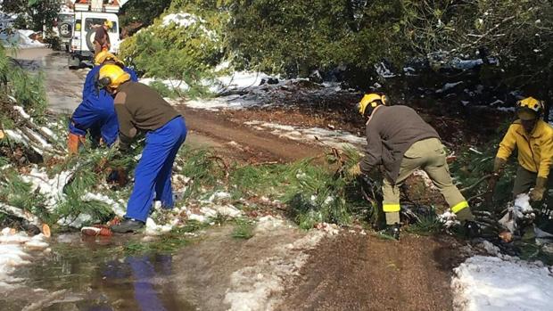 La prenda de abrigo para los bomberos forestales les llegará en verano