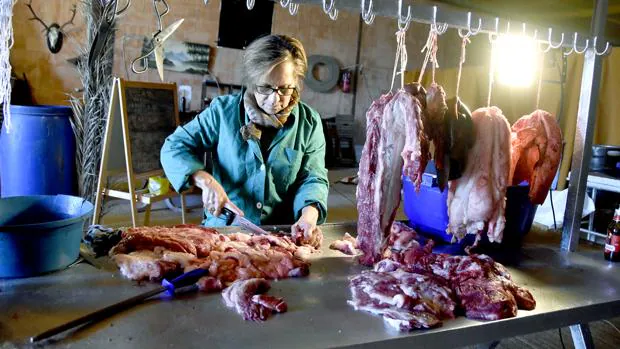 La matanza casera del cerdo se resiste a desaparecer en Andalucía